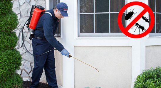 Buca Koop Böcek ve Haşere İlaçlama böcek ilaçlama ve haşere kontrolü — ilaclama-tr.com